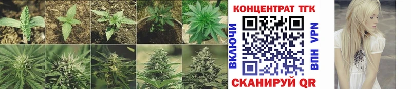 дарнет шоп  Петухово  Дистиллят ТГК жижа 
